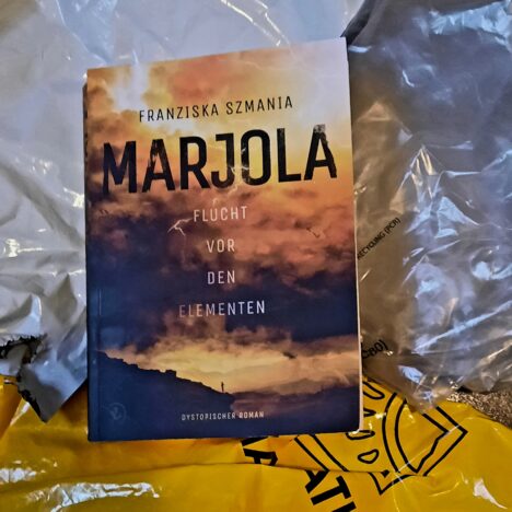 Sub Rosa: A Valerius Mystery (English Edition) 